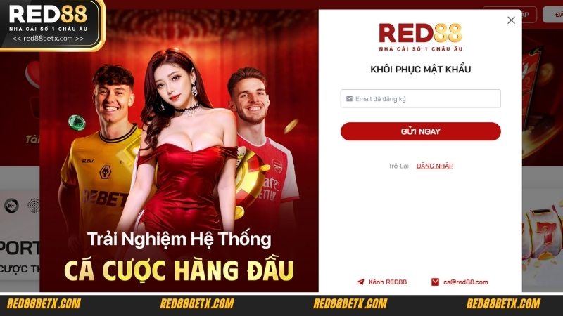 Anh em tiến hành điền email đã đăng ký lúc đầu