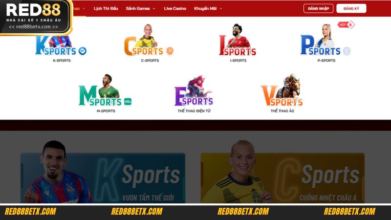Cá cược Esports
