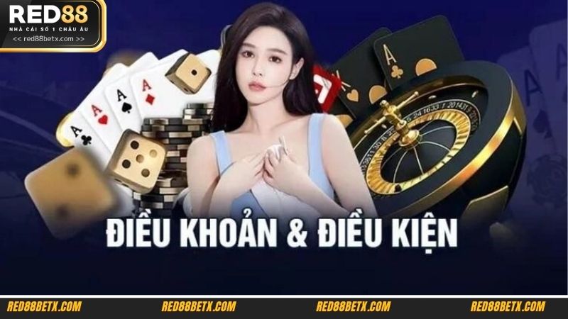 Hội viên cần tuân thủ các quy định về tài khoản tại RED88