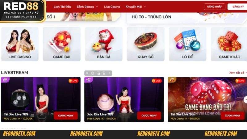 Người chơi cần nắm rõ quyền và nghĩa vụ khi tham gia tại RED88