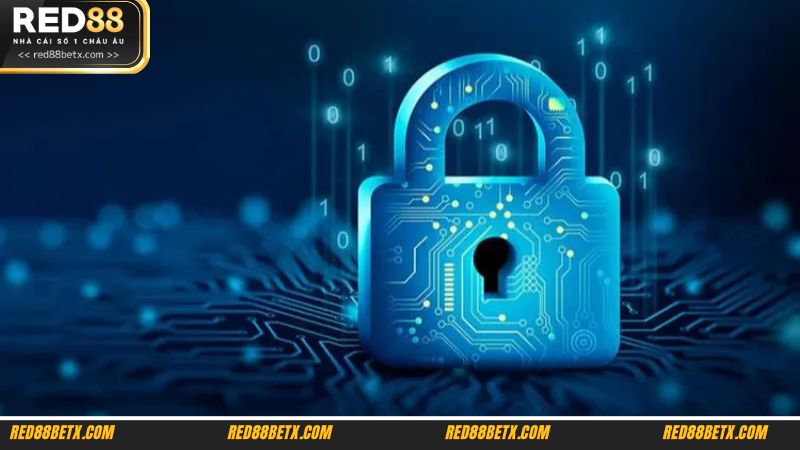 Những cách nhận biết đường link RED88 uy tín hàng đầu hiện nay